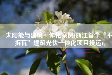 太阳能与建筑一体化案例(浙江首个“不拆瓦”建筑光伏一体化项目投运)