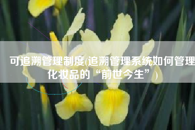 可追溯管理制度(追溯管理系统如何管理化妆品的“前世今生”)