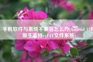 手机软件与系统不兼容怎么办(Android 13将原生支持exFAT文件系统)