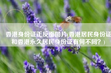 香港身份证正反面图片(香港居民身份证和香港永久居民身份证有何不同？)