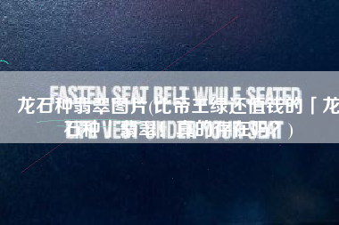 龙石种翡翠图片(比帝王绿还值钱的「龙石种」翡翠！真的存在吗？)