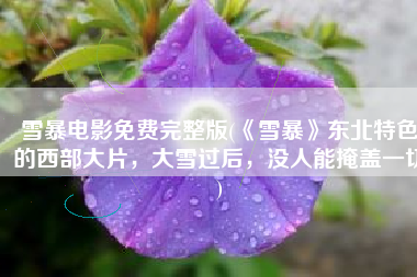 雪暴电影免费完整版(《雪暴》东北特色的西部大片，大雪过后，没人能掩盖一切)