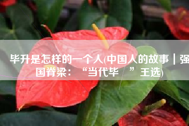 毕升是怎样的一个人(中国人的故事｜强国脊梁：“当代毕昇”王选)