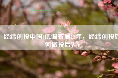 经纬创投中国(低调布局13年，经纬创投如何做投后？)