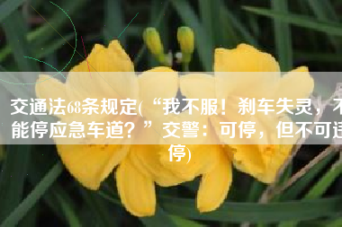交通法68条规定(“我不服！刹车失灵，不能停应急车道？”交警：可停，但不可违停)
