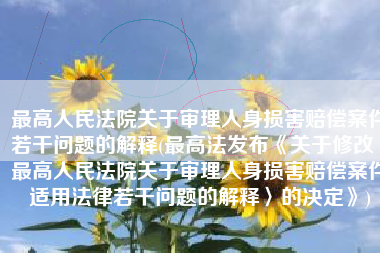 最高人民法院关于审理人身损害赔偿案件若干问题的解释(最高法发布《关于修改〈最高人民法院关于审理人身损害赔偿案件适用法律若干问题的解释〉的决定》)