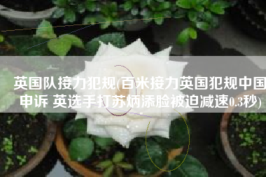 英国队接力犯规(百米接力英国犯规中国申诉 英选手打苏炳添脸被迫减速0.3秒)