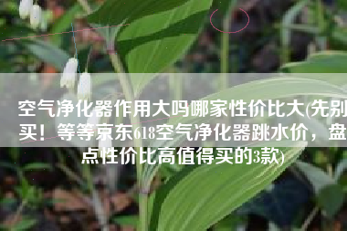 空气净化器作用大吗哪家性价比大(先别买！等等京东618空气净化器跳水价，盘点性价比高值得买的3款)