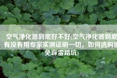 空气净化器到底好不好(空气净化器到底有没有用专家实测证明一切，如何选购避免踩雷踏坑)