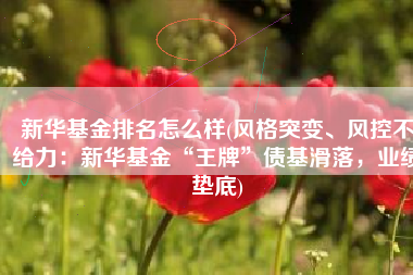 新华基金排名怎么样(风格突变、风控不给力：新华基金“王牌”债基滑落，业绩垫底)