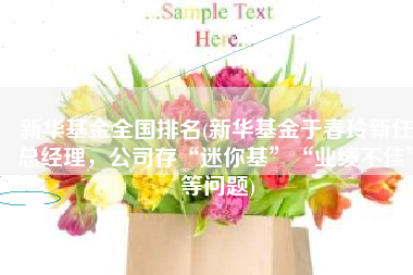 新华基金全国排名(新华基金于春玲新任总经理，公司存“迷你基”“业绩不佳”等问题)