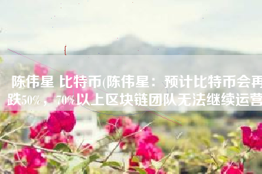 陈伟星 比特币(陈伟星：预计比特币会再跌50%，70%以上区块链团队无法继续运营)