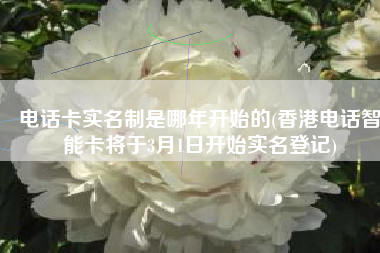 电话卡实名制是哪年开始的(香港电话智能卡将于3月1日开始实名登记)