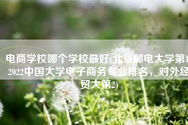 电商学校哪个学校最好(北京邮电大学第1！2022中国大学电子商务专业排名，对外经贸大第2)
