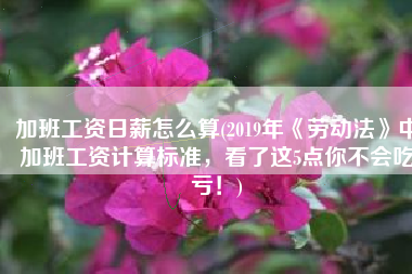 加班工资日薪怎么算(2019年《劳动法》中加班工资计算标准，看了这5点你不会吃亏！)