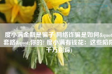 度小满金融是骗子(网络诈骗是如何"套路"你的? 度小满有钱花：这些陷阱千万别踩)