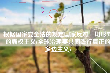 根据国家安全法的规定国家反对一切形式的霸权主义(全球治理要共同践行真正的多边主义)