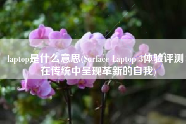 laptop是什么意思(Surface Laptop 3体验评测：在传统中呈现革新的自我)