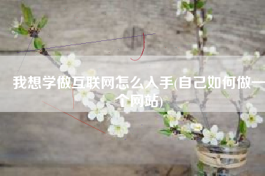 我想学做互联网怎么入手(自己如何做一个网站)