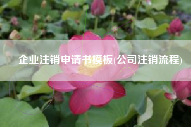 企业注销申请书模板(公司注销流程)