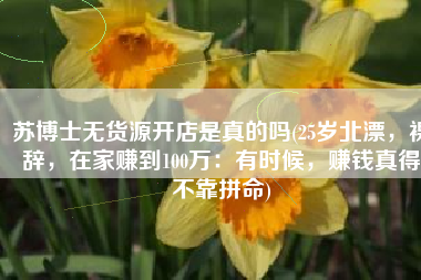苏博士无货源开店是真的吗(25岁北漂，裸辞，在家赚到100万：有时候，赚钱真得不靠拼命)