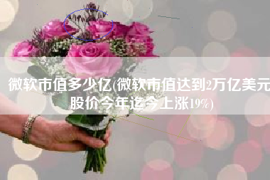 微软市值多少亿(微软市值达到2万亿美元 股价今年迄今上涨19%)