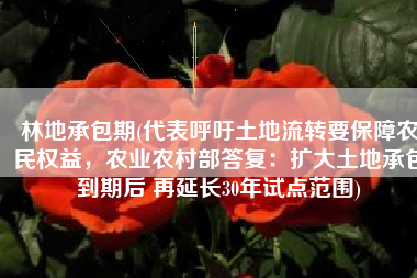 林地承包期(代表呼吁土地流转要保障农民权益，农业农村部答复：扩大土地承包到期后 再延长30年试点范围)