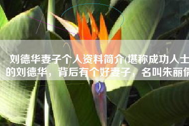 刘德华妻子个人资料简介(堪称成功人士的刘德华，背后有个好妻子，名叫朱丽倩)