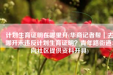 计划生育证明在哪里开(华商记者帮｜去哪开未违反计划生育证明？青年路街道：向社区提供资料开具)