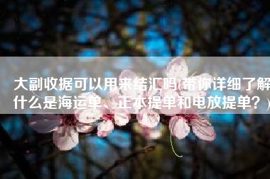 大副收据可以用来结汇吗(带你详细了解什么是海运单、正本提单和电放提单？)