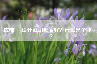 成都logo设计公司哪家好？什么是企业logo？