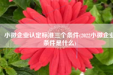 小微企业认定标准三个条件(2022小微企业条件是什么)