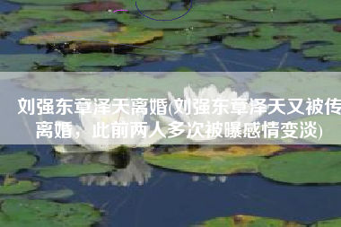 刘强东章泽天离婚(刘强东章泽天又被传离婚，此前两人多次被曝感情变淡)