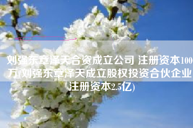 刘强东章泽天合资成立公司 注册资本1000万(刘强东章泽天成立股权投资合伙企业，注册资本2.5亿)