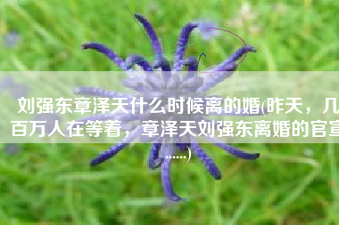 刘强东章泽天什么时候离的婚(昨天，几百万人在等着，章泽天刘强东离婚的官宣......)