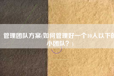 管理团队方案(如何管理好一个10人以下的小团队？)