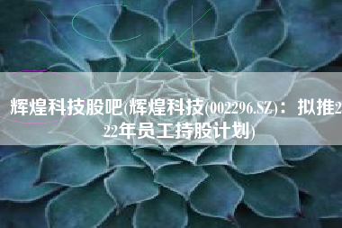 辉煌科技股吧(辉煌科技(002296.SZ)：拟推2022年员工持股计划)