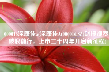 000016深康佳a(深康佳A(000016.SZ)财报观察：破浪前行，上市三十周年开启新征程)