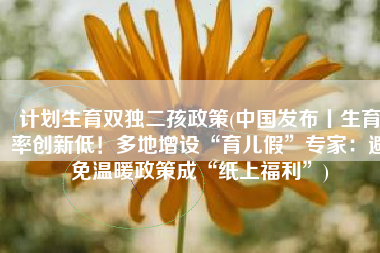 计划生育双独二孩政策(中国发布丨生育率创新低！多地增设“育儿假”专家：避免温暖政策成“纸上福利”)