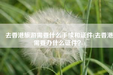 去香港旅游需要什么手续和证件(去香港需要办什么证件？)