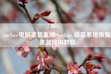 surface电脑重装系统(Surface 设备系统恢复/重装终极教程)