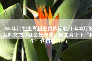 2004年计划生育超生罚款标准(十年38万份裁判文书涉社会抚养费：低生育率下“超生”还罚款吗？)