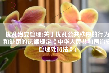 扰乱治安管理(关于扰乱公共秩序的行为和处罚的法律规定《中华人民共和国治安管理处罚法》)