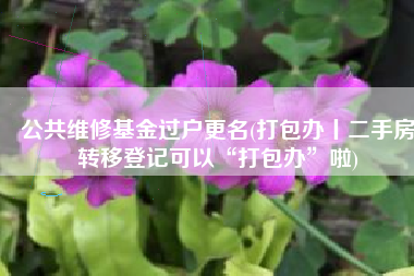 公共维修基金过户更名(打包办丨二手房转移登记可以“打包办”啦)
