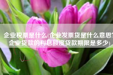企业税票是什么(企业发票贷是什么意思？企业贷款的利息额度贷款期限是多少)