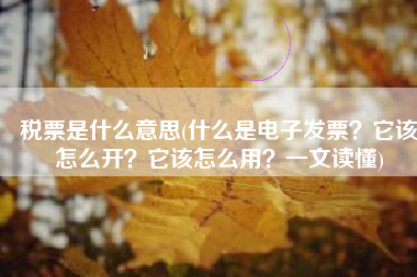 税票是什么意思(什么是电子发票？它该怎么开？它该怎么用？一文读懂)