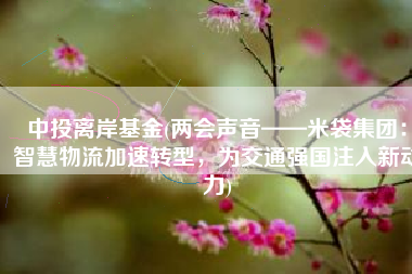 中投离岸基金(两会声音——米袋集团：智慧物流加速转型，为交通强国注入新动力)