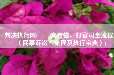 判决执行网(​一文看懂，打官司全流程！（民事诉讼​流程及执行宝典）)