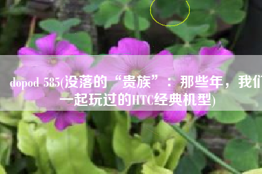 dopod 585(没落的“贵族”：那些年，我们一起玩过的HTC经典机型)