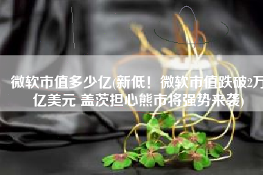 微软市值多少亿(新低！微软市值跌破2万亿美元 盖茨担心熊市将强势来袭)